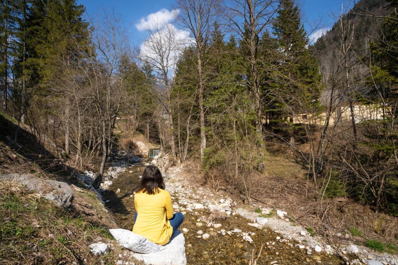 Butterfly Cottage By The Creek Tržič Kültér fotó